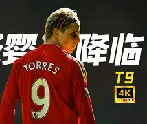 平博官网-图卢兹tse