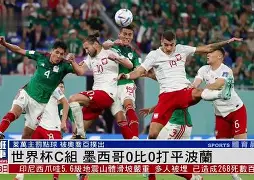 法国对阵巴西